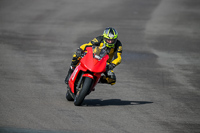 PJ-Motorsport-2019;anglesey-no-limits-trackday;anglesey-photographs;anglesey-trackday-photographs;enduro-digital-images;event-digital-images;eventdigitalimages;no-limits-trackdays;peter-wileman-photography;racing-digital-images;trac-mon;trackday-digital-images;trackday-photos;ty-croes